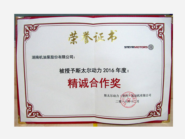 Customer Award for cooperation